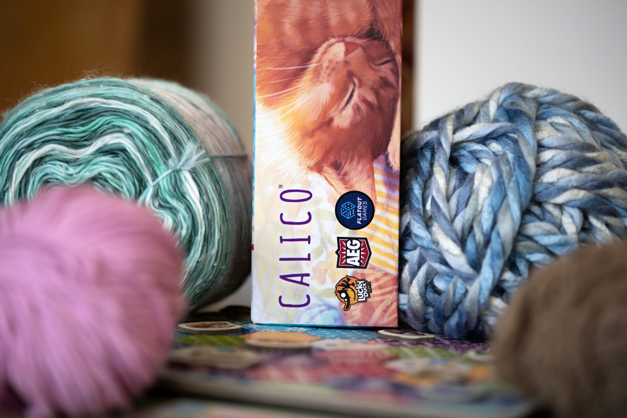 CALICO - Le Jeu – Image 10