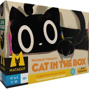 Cat in the box