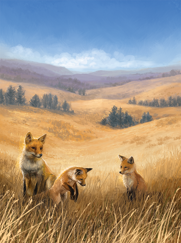 CASCADIA : Rolling Prairies – Image 8
