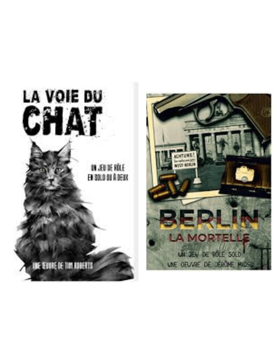 LA VOIE DU CHAT - Jeu de Rôle Solo