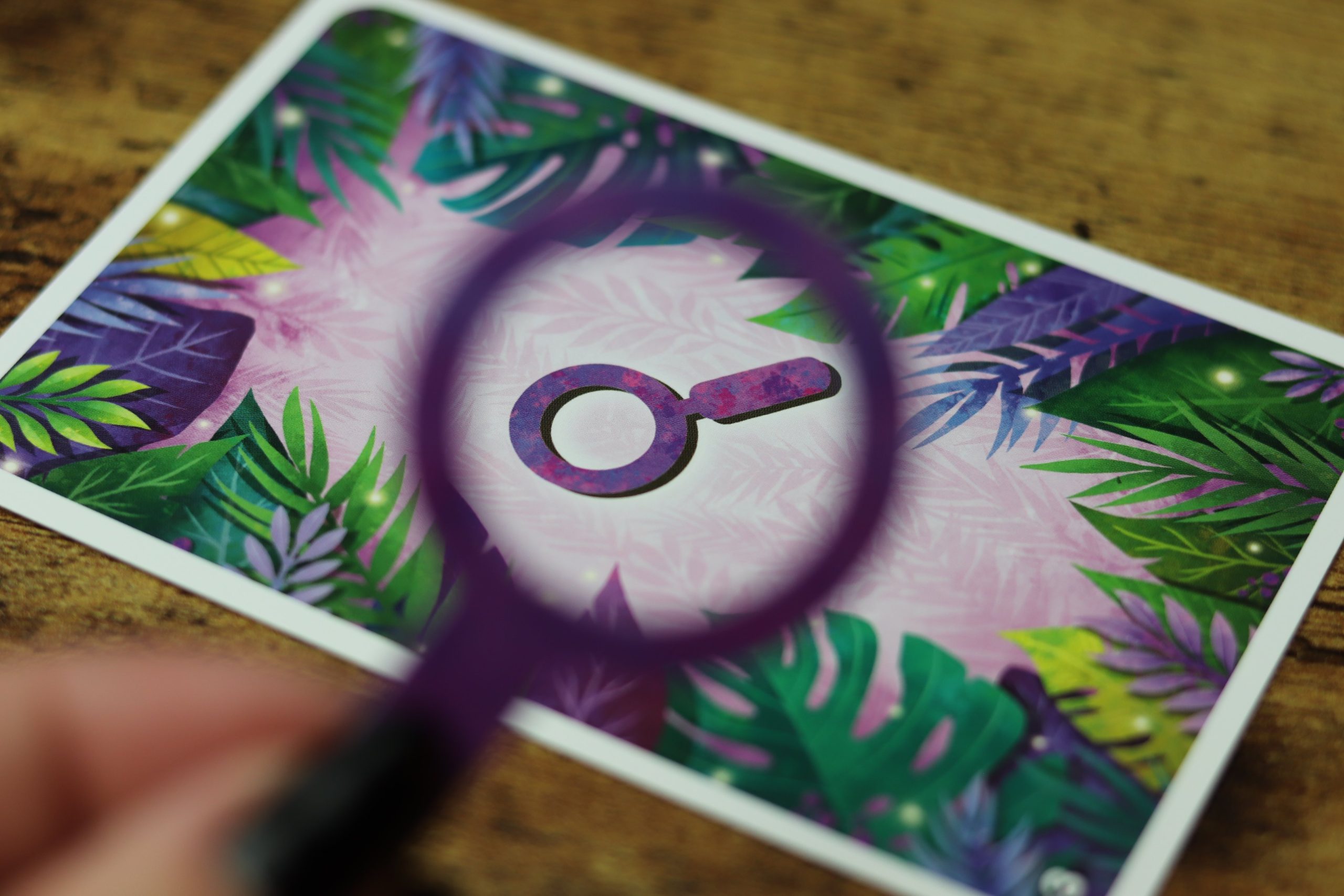 Exit Kids : La Jungle aux Enigmes – Image 7