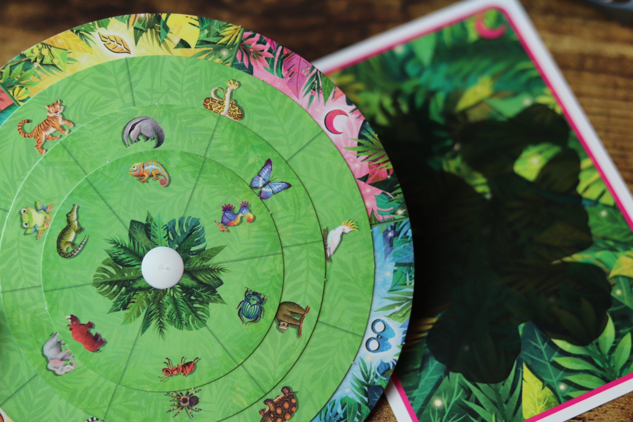 Exit Kids : La Jungle aux Enigmes – Image 8