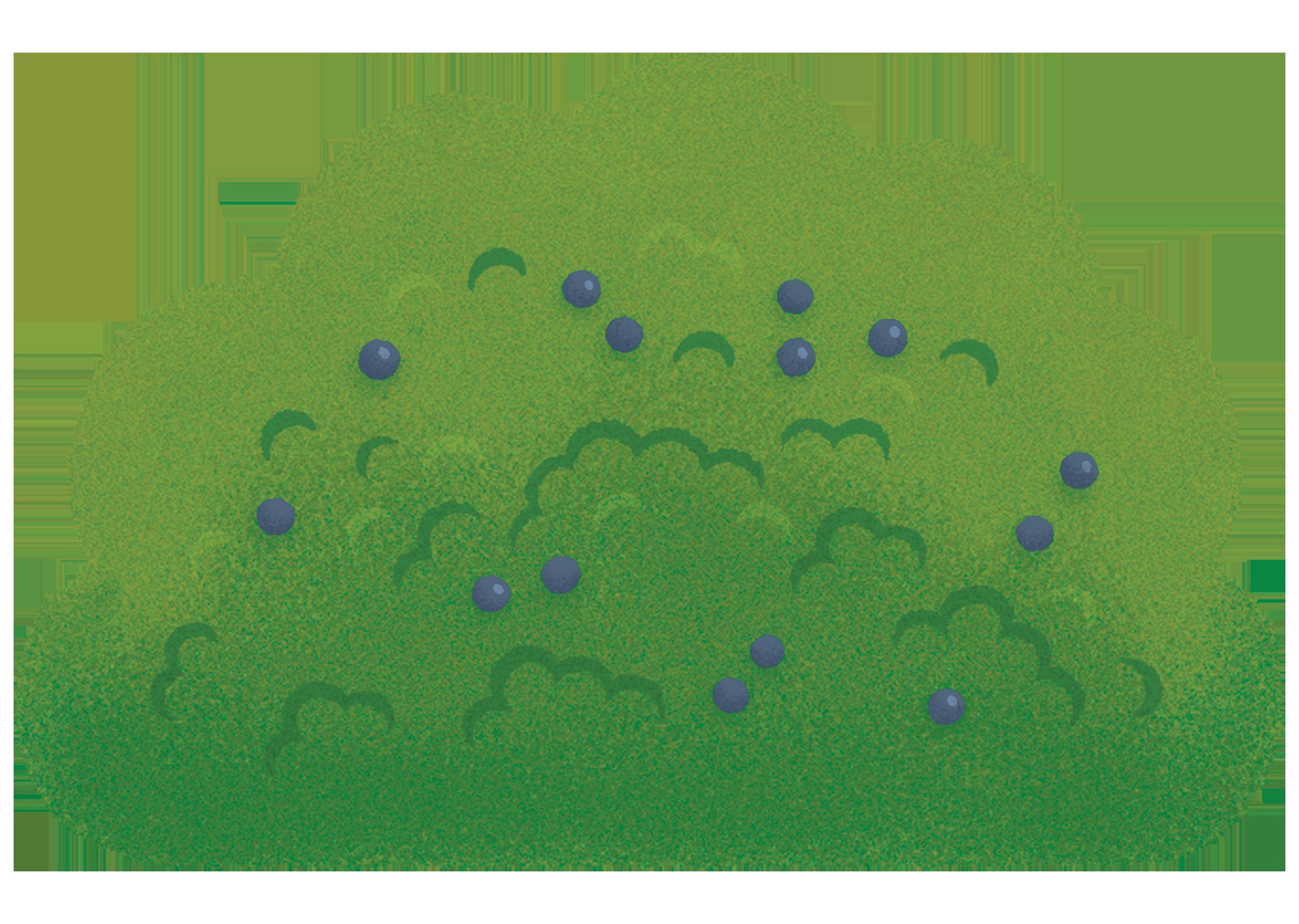 Cache Cache Loustic – Image 2