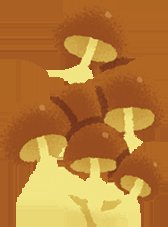 Cache Cache Loustic – Image 8
