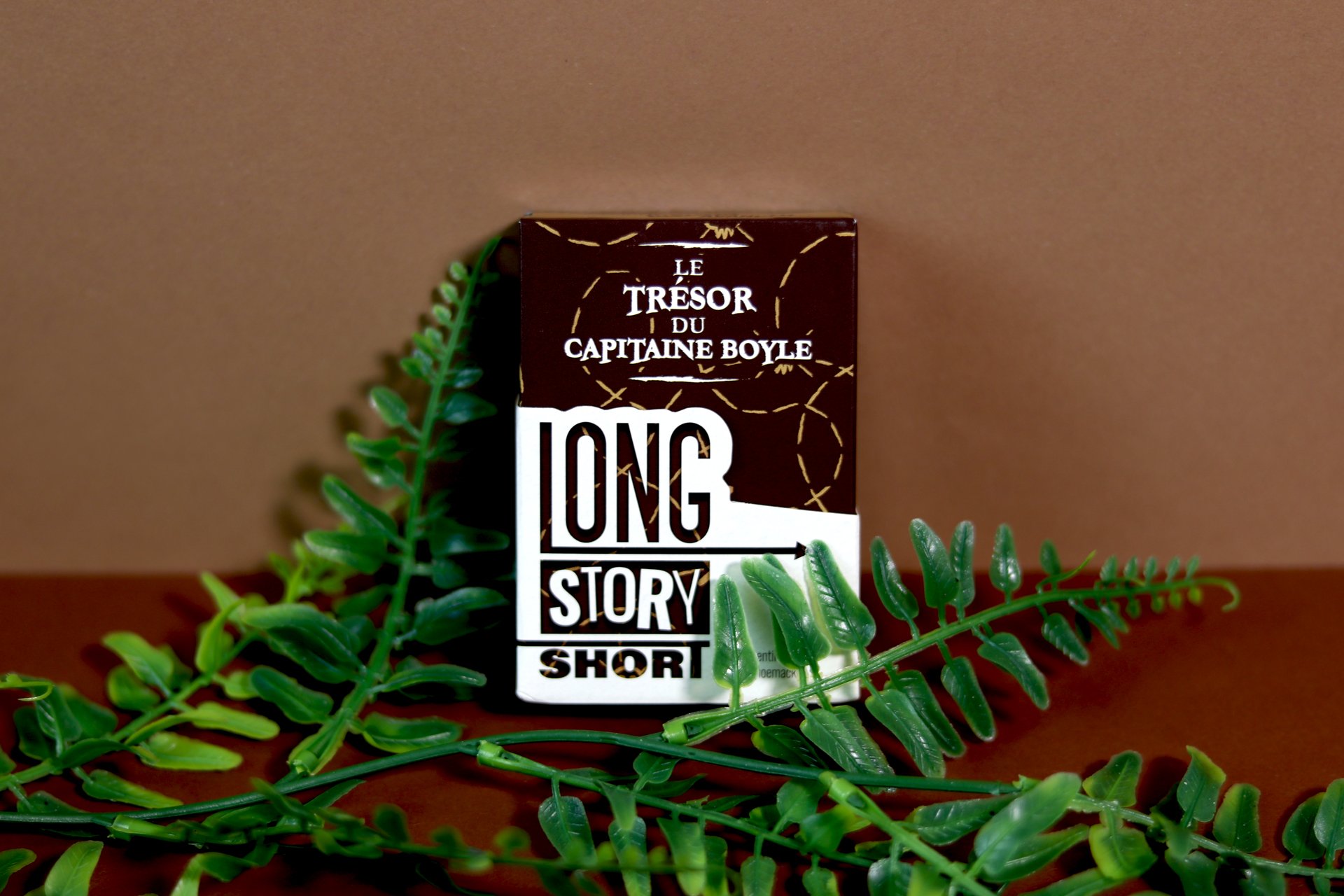 Long Story Short : Le Trésor du Capitaine Boyle – Image 5