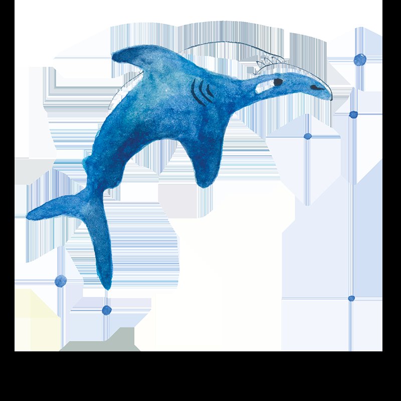 Tentacolor – Image 17