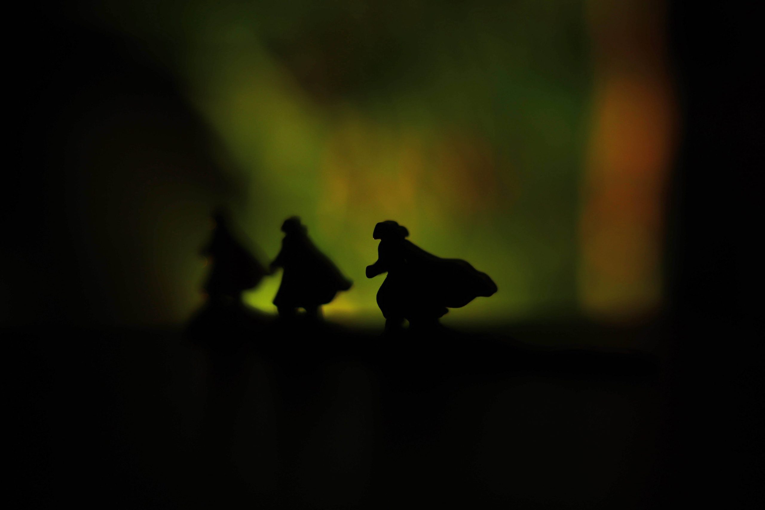 Aventures de Robin des Bois (Les) – Image 19