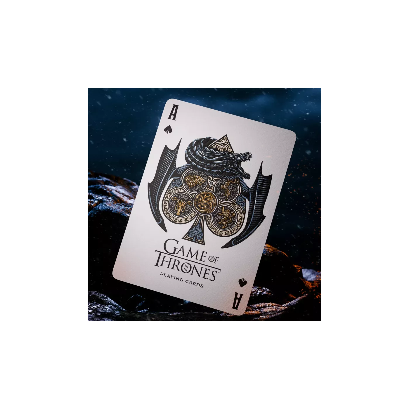 Theory 11 - Game Of Thrones (À L'unité) – Image 2