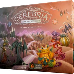 Cerebria, Le monde intéri: jeu de plateau VF