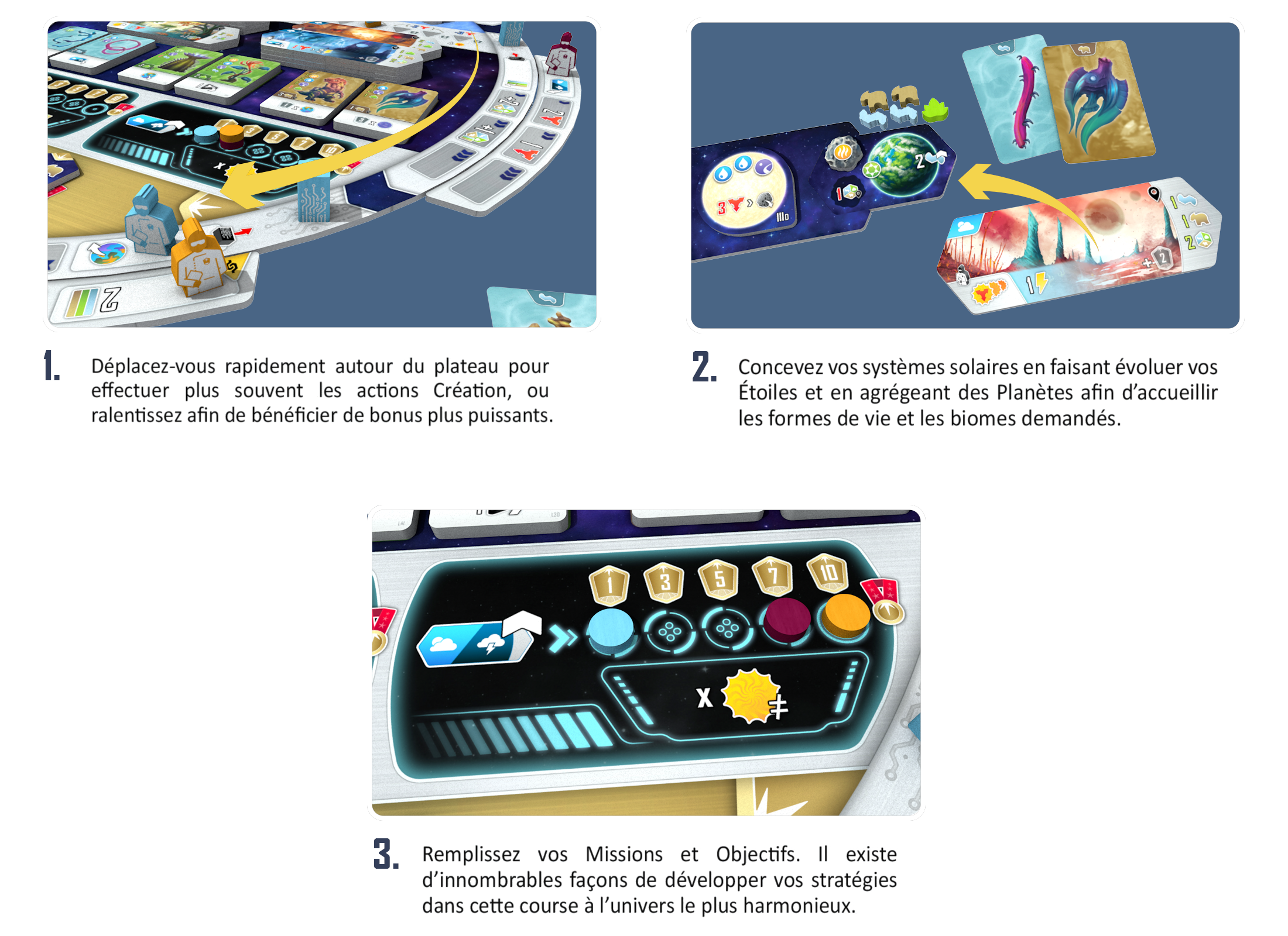 Entropie VF - Jeu de plateau – Image 4